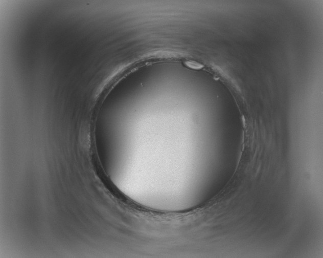 X0000062600015200512281410