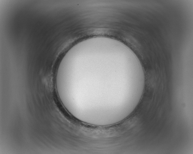 X0000062600016200512281410