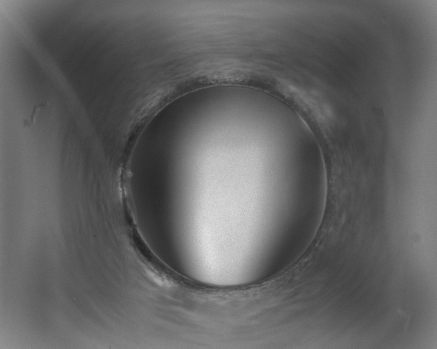 X0000062600017200512281410