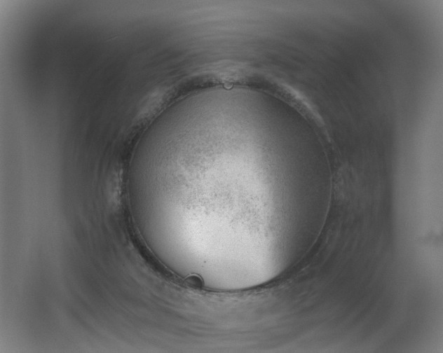 X0000062600018200512281410