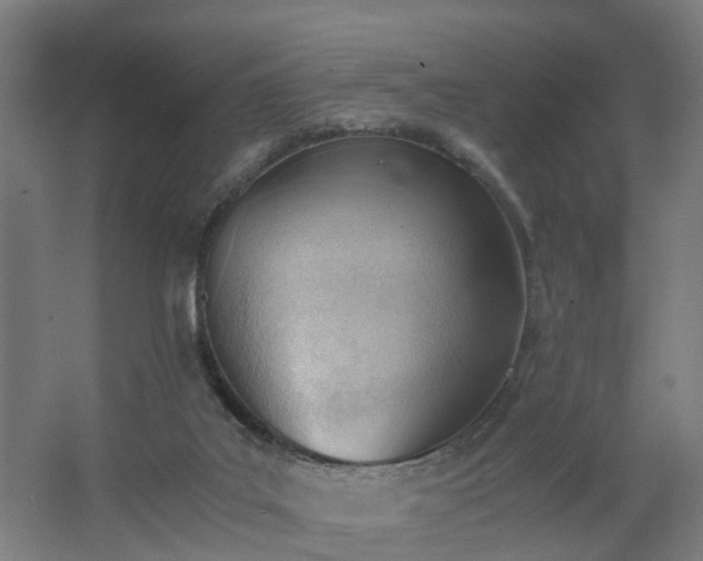 X0000062600019200512281410