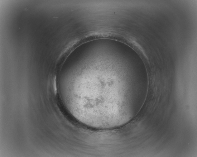 X0000062600020200512281410