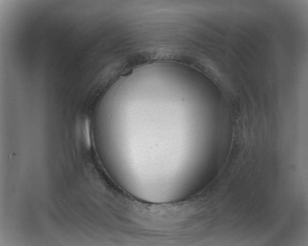 X0000062600022200512281410