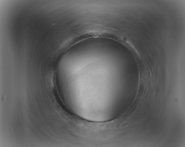 X0000062600023200512281410