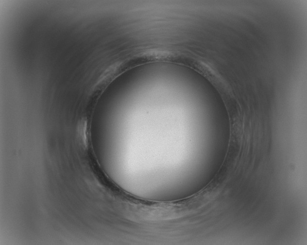 X0000062600024200512281410