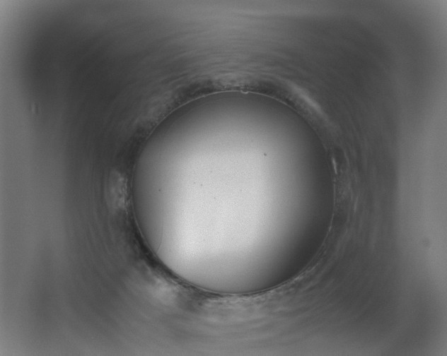 X0000062600025200512281410