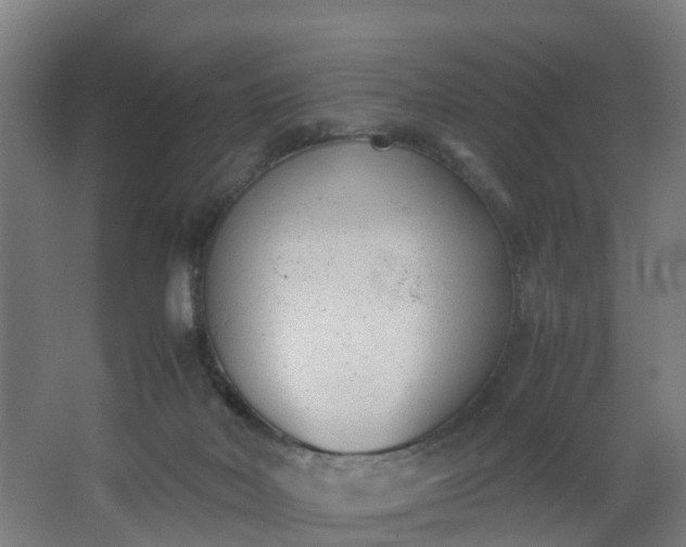 X0000062600026200512281410