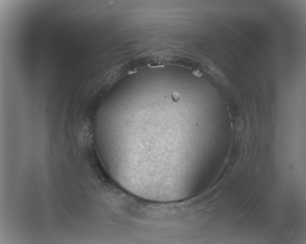 X0000062600029200512281410