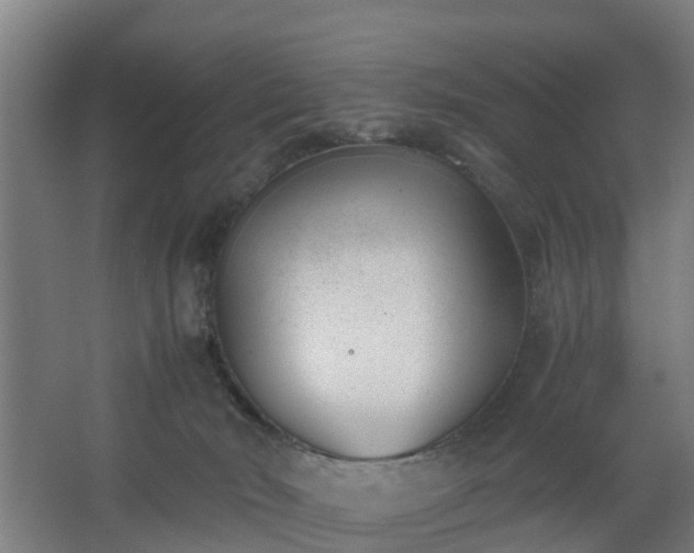 X0000062600030200512281410