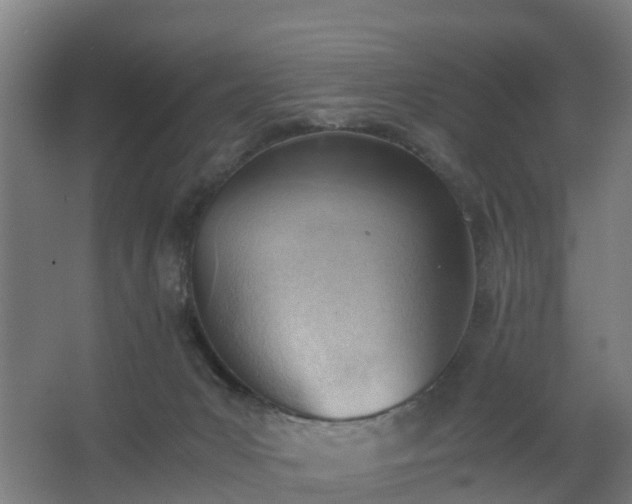 X0000062600031200512281410