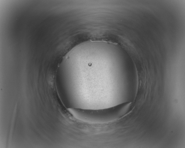 X0000062600033200512281410