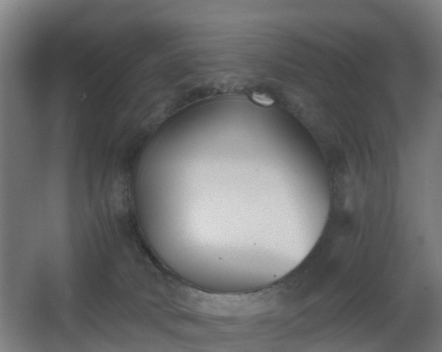 X0000062600034200512281410