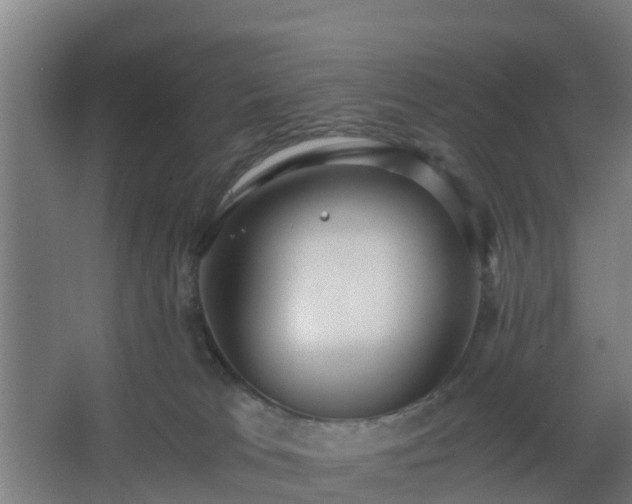 X0000062600037200512281410