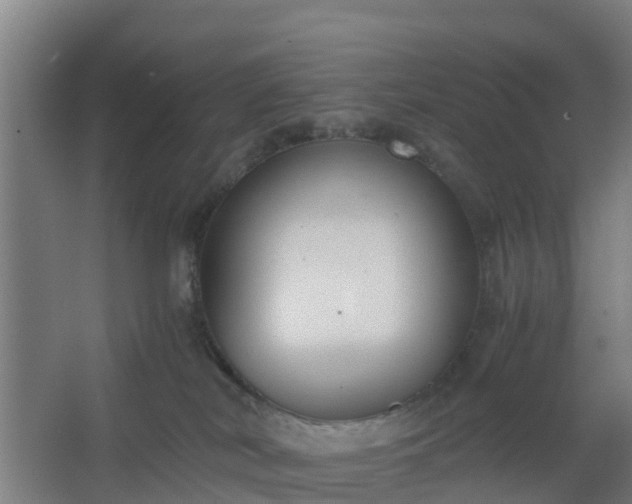 X0000062600038200512281410