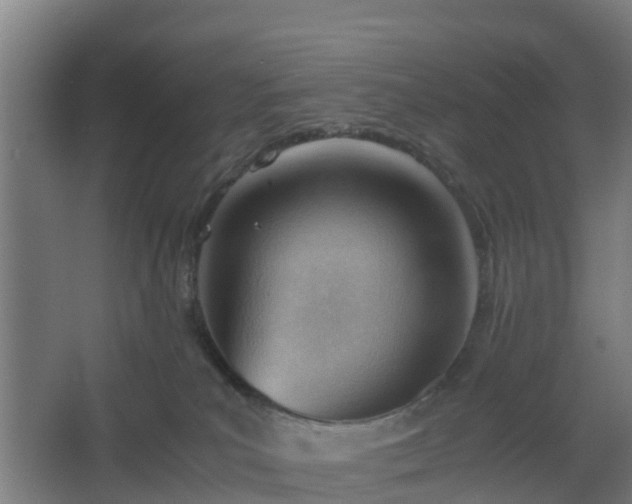 X0000062600039200512281410