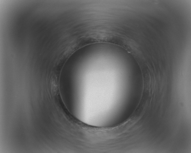 X0000062600040200512281410