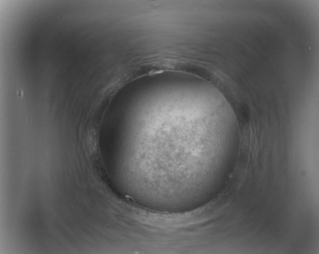 X0000062600043200512281410