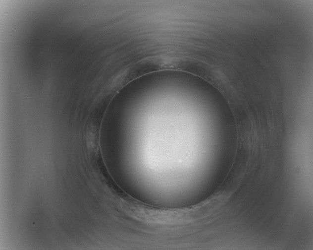 X0000062600044200512281410