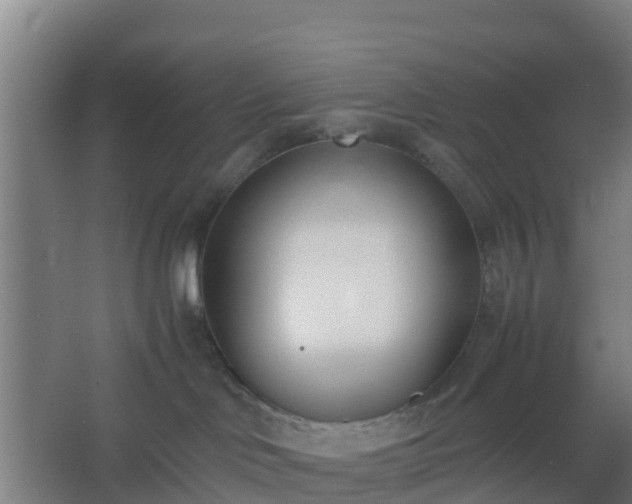 X0000062600046200512281409