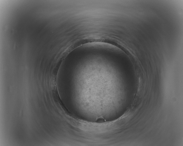 X0000062600048200512281409