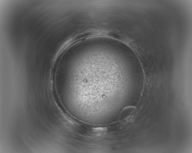 X0000062600053200512281409