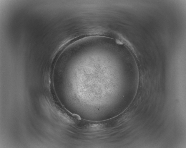 X0000062600059200512281409