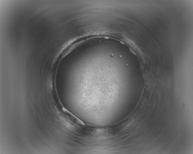 X0000062600060200512281409