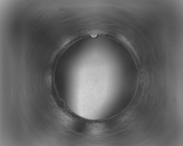 X0000062600063200512281409