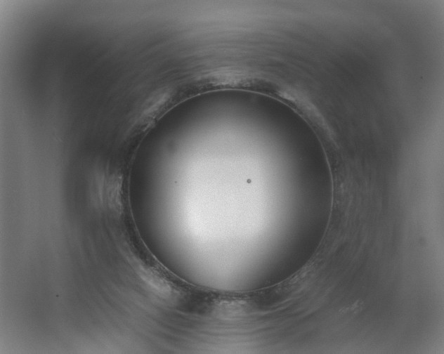 X0000062600066200512281409