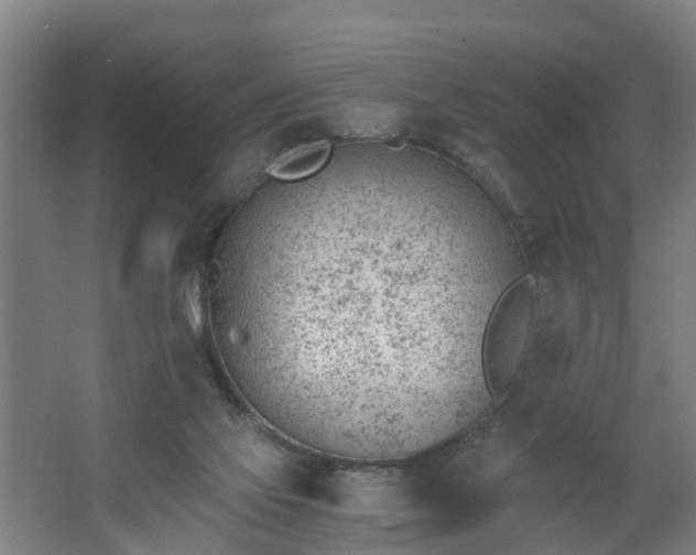 X0000062600069200512281409