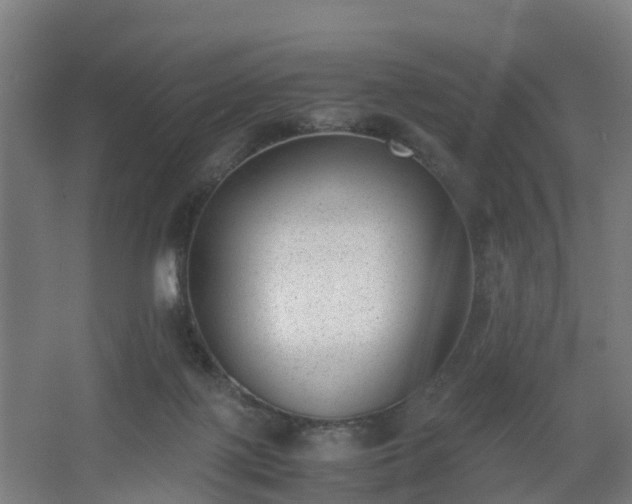 X0000062600075200512281409