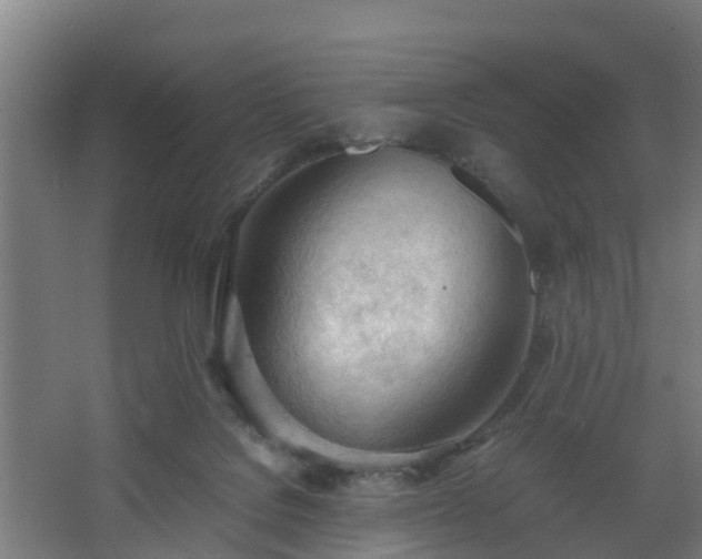 X0000062600076200512281409