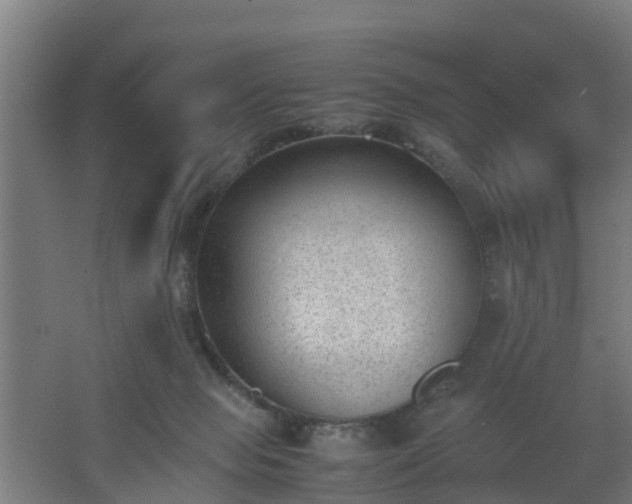 X0000062600077200512281409