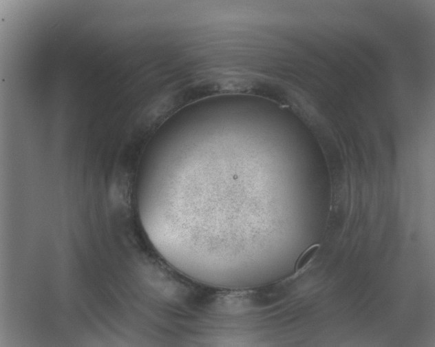 X0000062600078200512281409