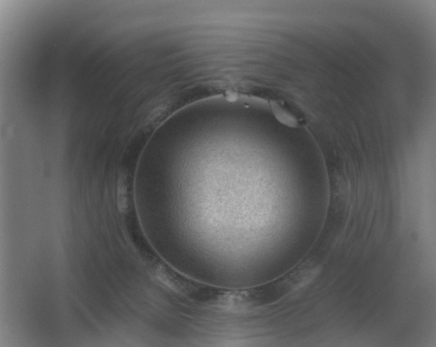 X0000062600080200512281409