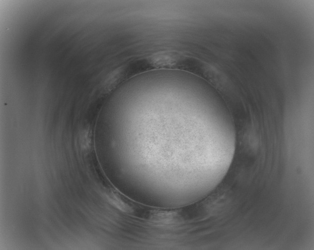 X0000062600081200512281409