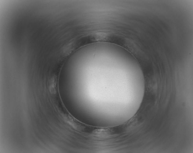 X0000062600082200512281409