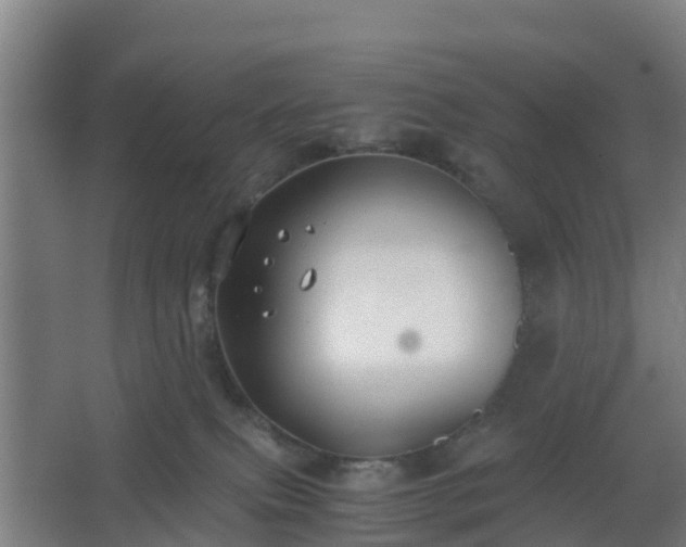 X0000062600087200512281409