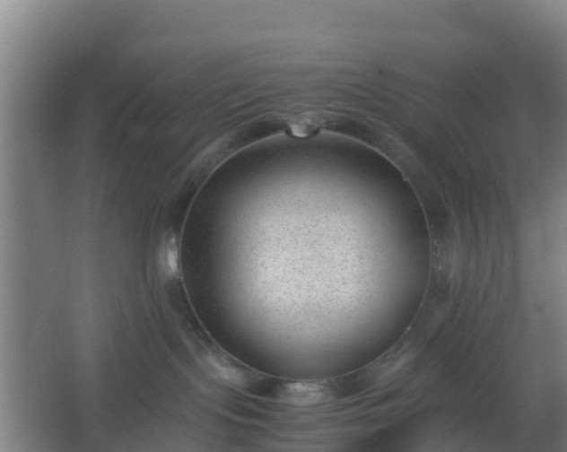 X0000062600095200512281409