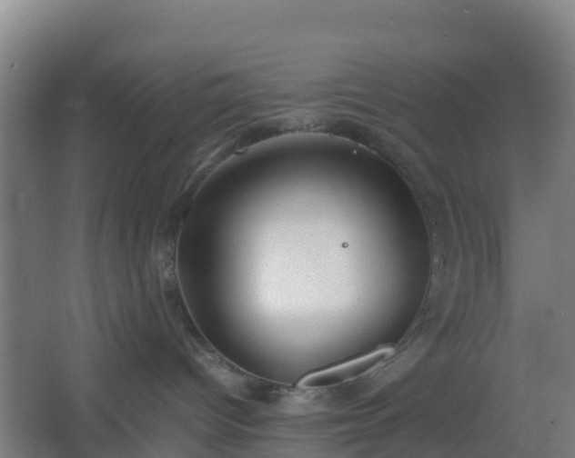 X0000062600096200512281409