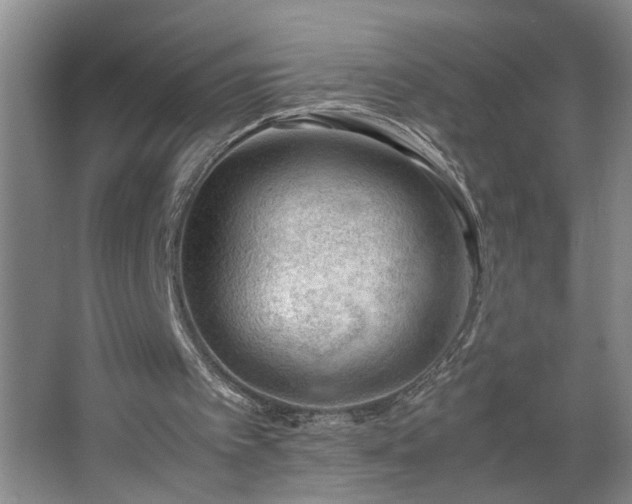 X0000062600097200512281409