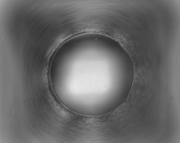 X0000062600098200512281409