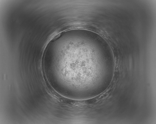 X0000062600099200512281409