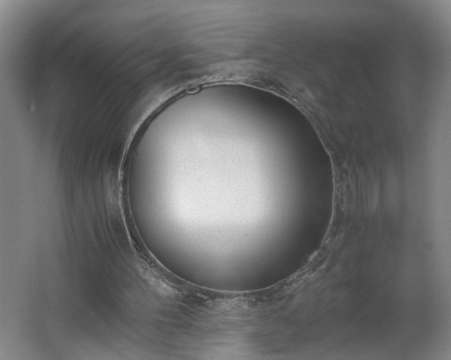 X0000062600100200512281409