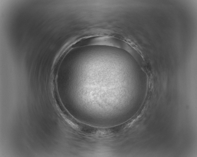 X0000062600101200512281409