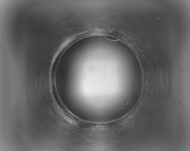 X0000062600102200512281409