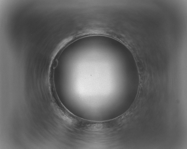 X0000062600104200512281409