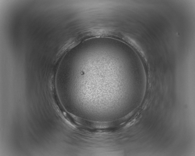 X0000062600105200512281408