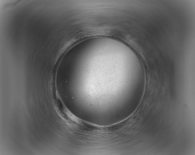 X0000062600107200512281408