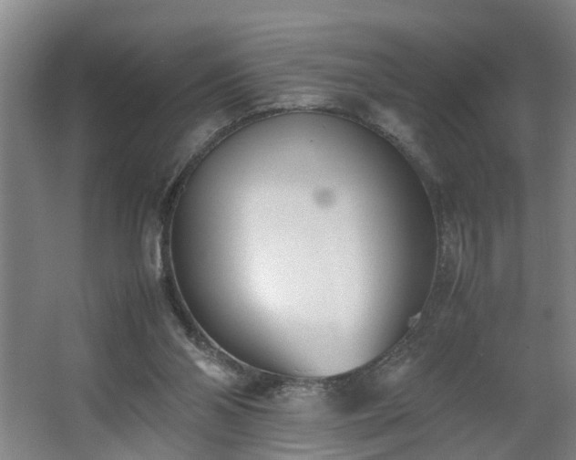 X0000062600110200512281408